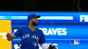 major league baseball 2019 mlb regular season GIF by MLB