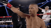 toprank fight boxing fighting espn GIF
