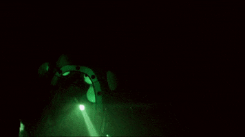 bristonmaroney green rock artist rose GIF