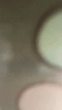 Youtube Twitch GIF by Youtooz