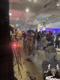 GIF by Alex Boya