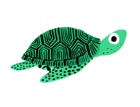 Turtle Sticker by alimacdoodle