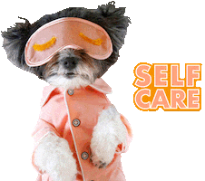 Good Vibes Dog Sticker