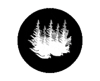 bryanandpatyteam bryan and paty bryanandpaty patyemrick bryanschlafke Sticker