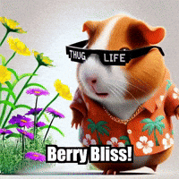 Guinea Pig Fruit GIF by Guinea Gambino