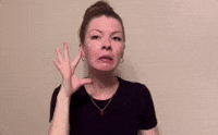 Cat Kitten GIF