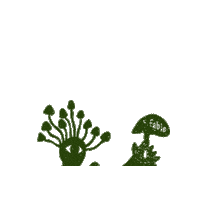 Mushrooms Sticker by Fable Food Co