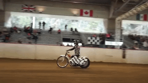 perrispowersports giphygifmaker speedway big daddy palmese GIF