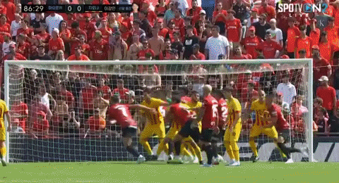 highansol93 giphyupload GIF