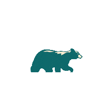 Bear Appalachian Sticker by The Landmark Project