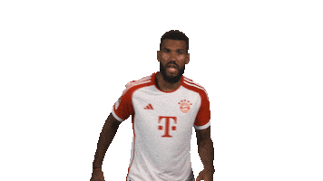 Celebrate Fc Bayern Sticker by Bundesliga
