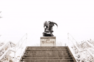 Utah State Bull GIF by Utah State University