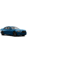 Wrap Sticker by Impeccable Wraps