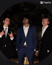 Areeb GIF