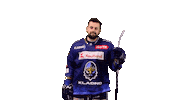 Hockey Hokej Sticker by Rytíři Kladno