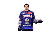 Hokej Sticker by Rytíři Kladno