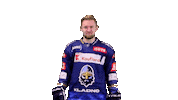 Hokej Sticker by Rytíři Kladno