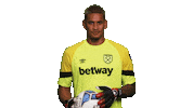Premier League Hammers Sticker by West Ham United