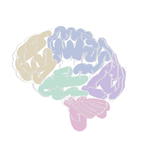 art_scalpel science brain human medicine Sticker