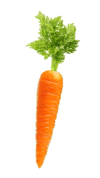 Hund Sticker by HelloBello Frischfutter