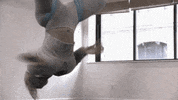 coco GIF