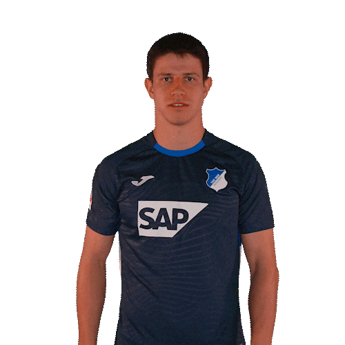 Sport Bundesliga Sticker by TSG Hoffenheim