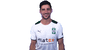 Lars Stindl Bundesliga Sticker by Borussia Mönchengladbach