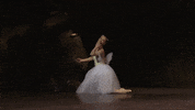 Enbsylphide GIF by English National Ballet