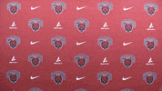 Softball Wildcats GIF by CWU Athletics