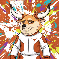 College Football Art GIF by Doge Pound