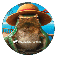 One Piece Nami Sticker by Ranita de Darwin ONG