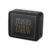 Zahav Sticker by Bracha Jaffe