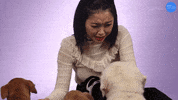 Oh I Know GIF by BuzzFeed