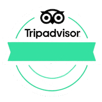 yeitours turismo tourism tours morelia Sticker