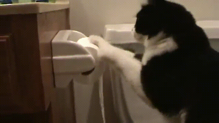 paper machine GIF
