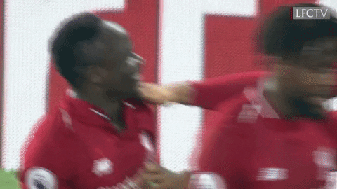 happy premier league GIF by Liverpool FC