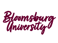 College University Sticker