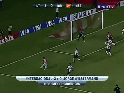 Dale Libertadores GIF by Sport Club Internacional