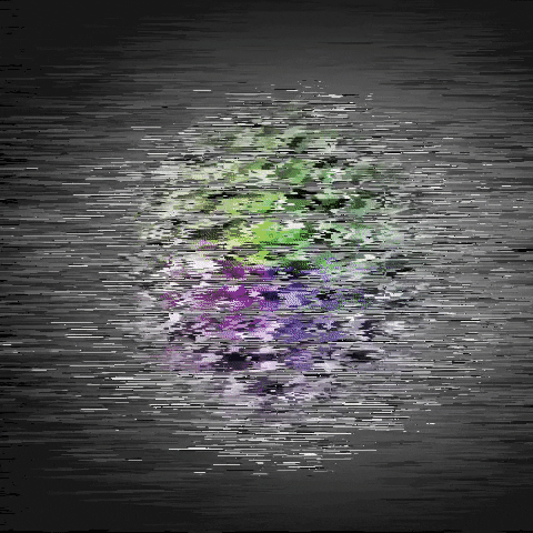 Art Glitch GIF