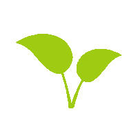 Plant Leaf Sticker by True Botanicals