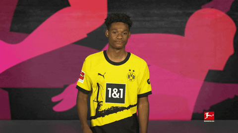Borussia Dortmund Football GIF by Bundesliga