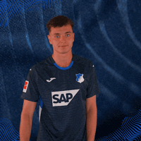 GIF by TSG Hoffenheim