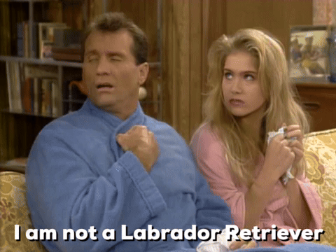 I'm Not A Labrador