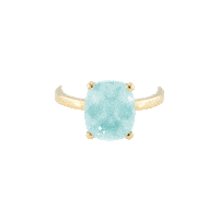 Gold Ring Sticker by The SISS BLISS