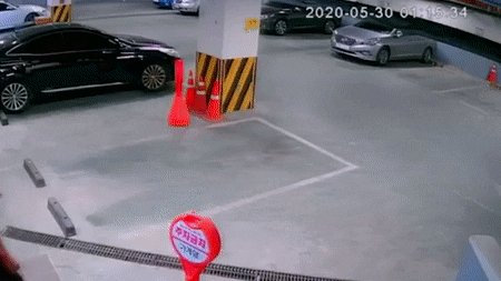 sophiasonge92b giphyupload GIF