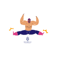 riobravosystems luchador cisco luchalibre ciscoconnect Sticker