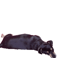 Hello There Sticker by Soft