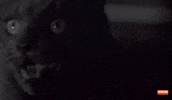 GIF by Turner Classic Movies