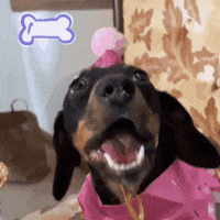 Barbieweenie birthday happy birthday yummy eating GIF