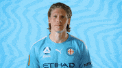 Delbridge GIF by Melbourne City